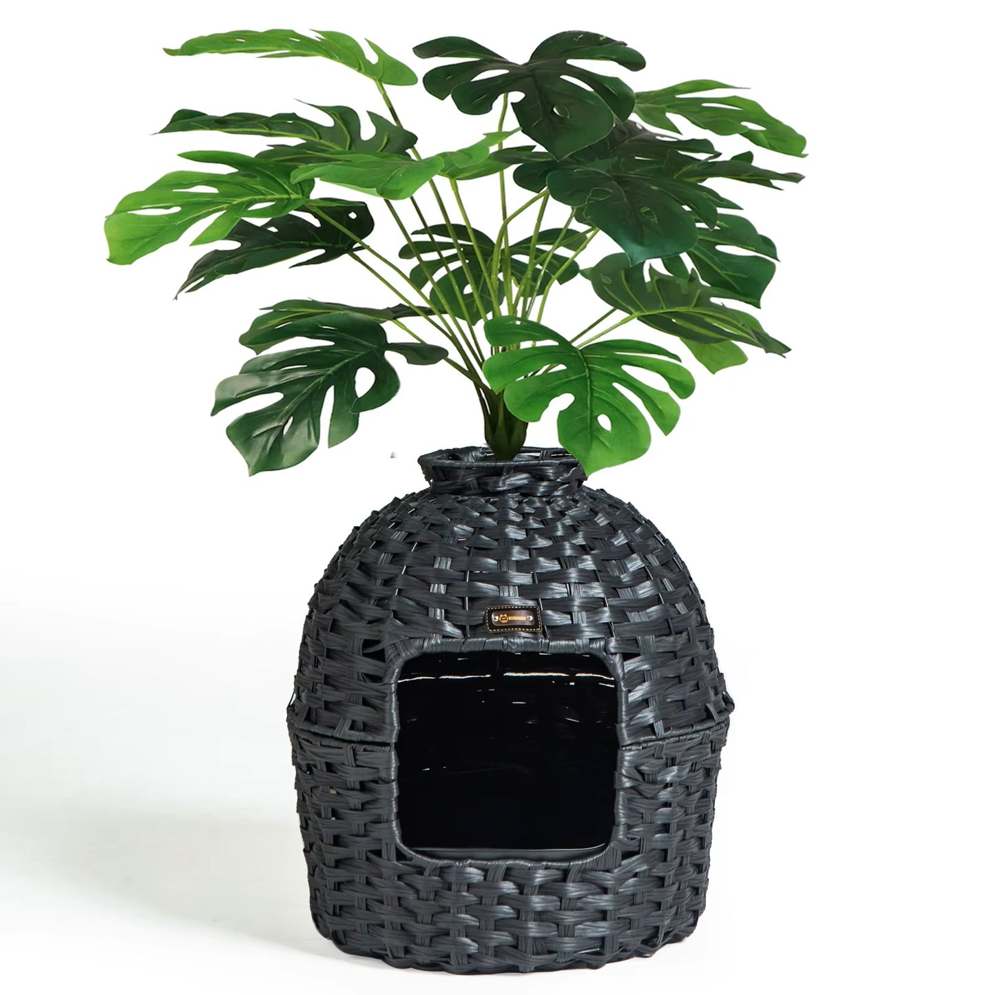 🌿 Pawtanica™ - La Caja del Jardín Escondido