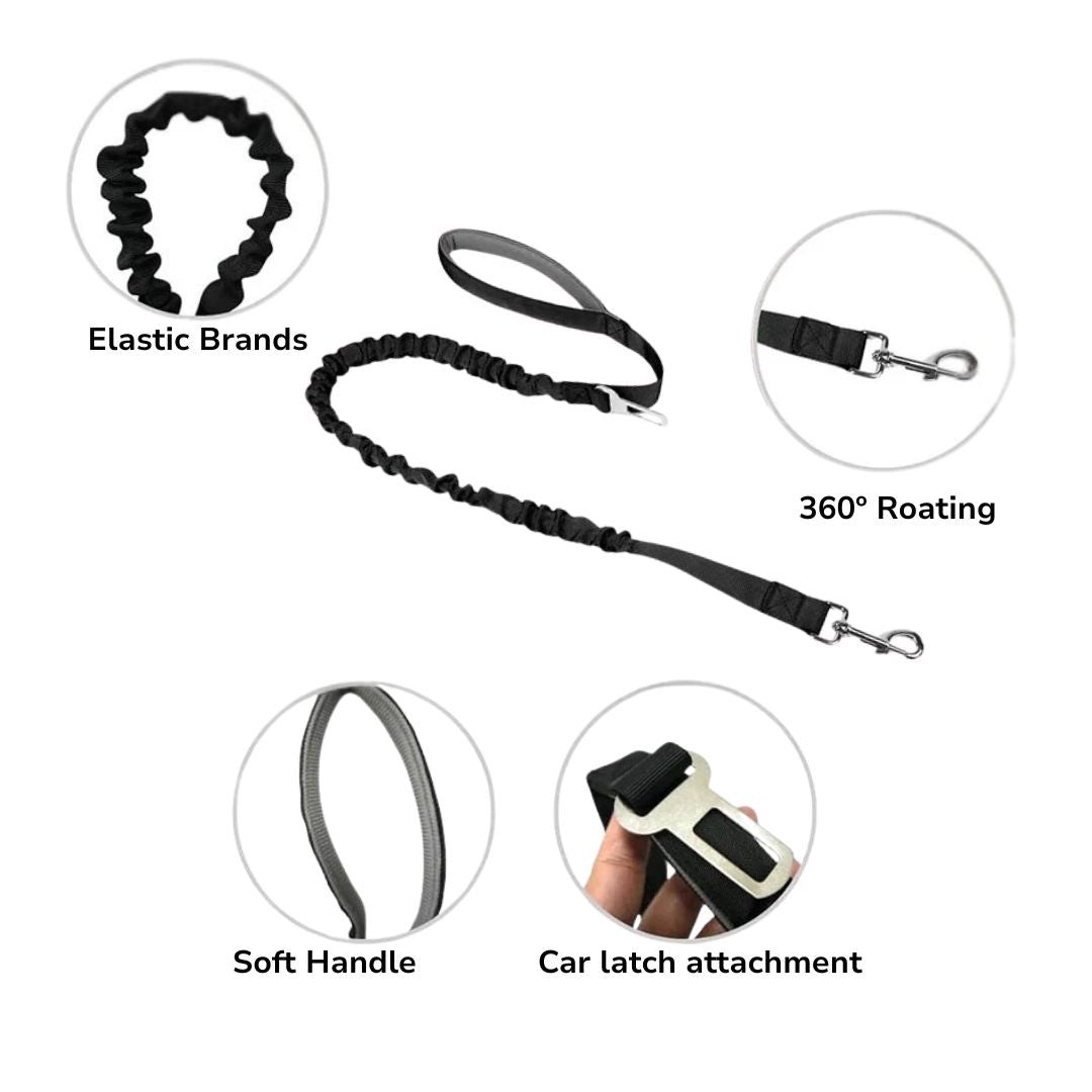 PawVenture™ Tactical Harness