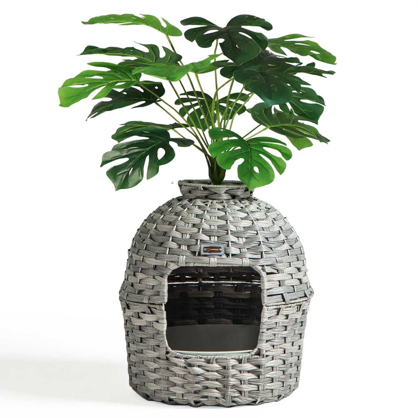 🌿 Pawtanica™- The Hidden Garden Box