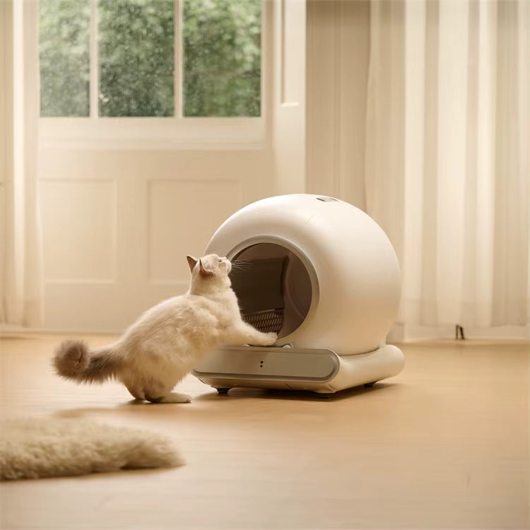 CleanCycle™ Pro — Smart Self-Cleaning Litter Box with App Control