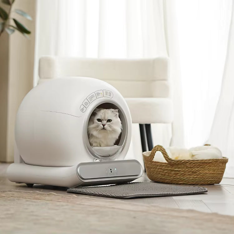 CleanCycle™ Pro — Smart Self-Cleaning Litter Box with App Control