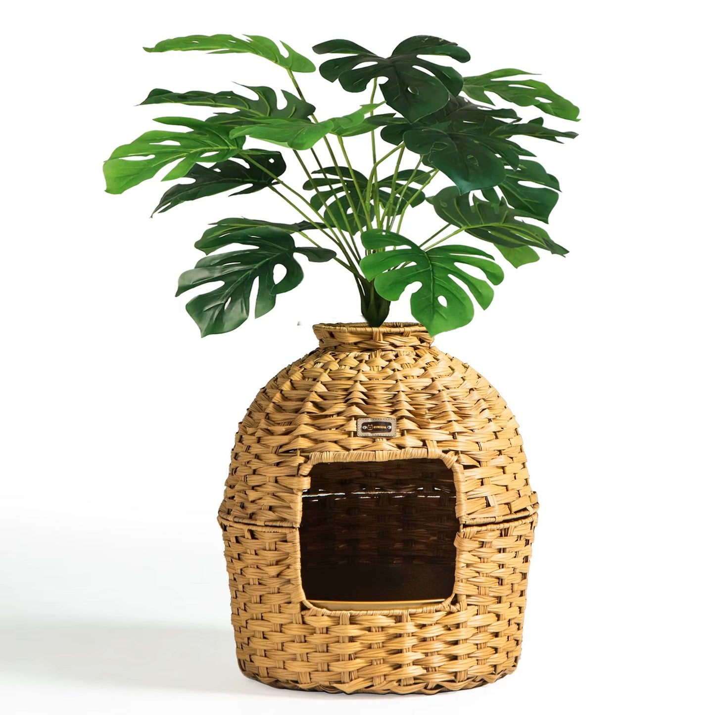 🌿 Pawtanica™- The Hidden Garden Box