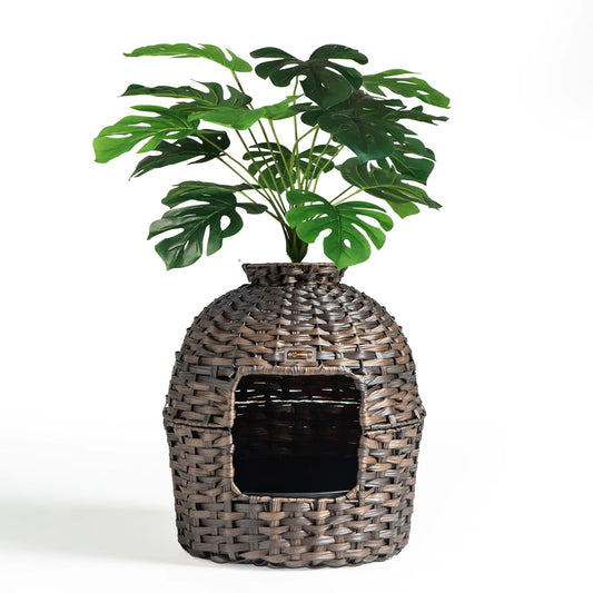 🌿 Pawtanica™ - La Caja del Jardín Escondido